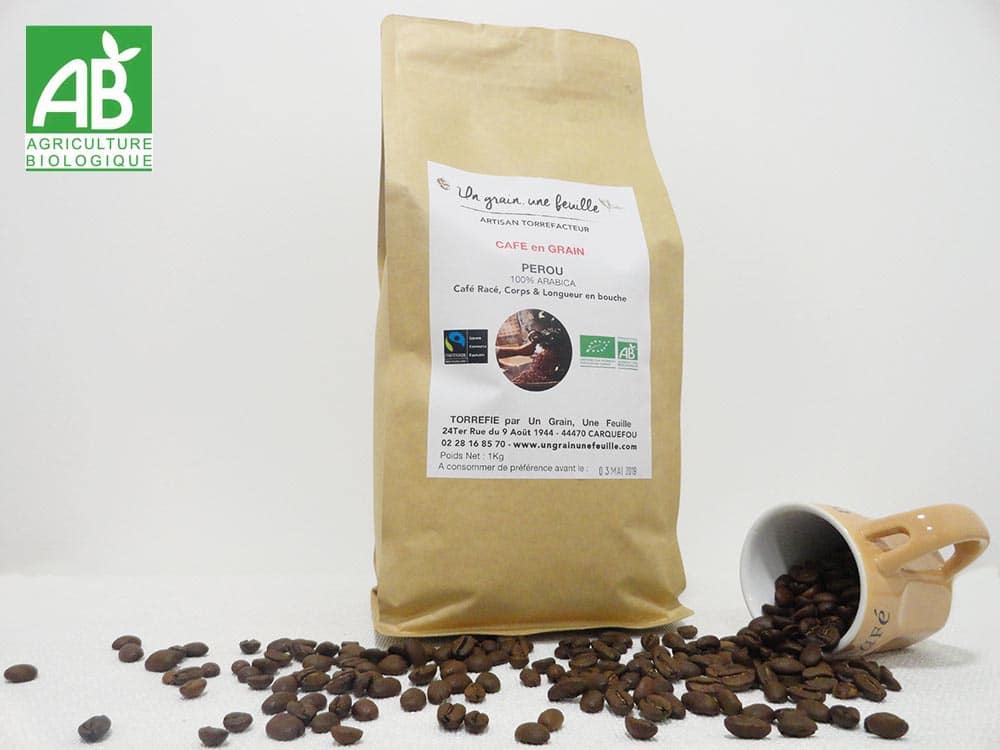 Café Arabica en Grain Bio en Vrac 1kg